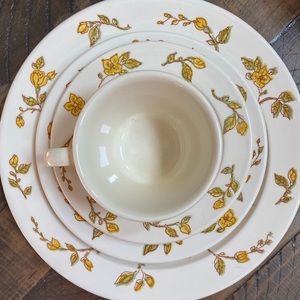 Vintage Ironstone Devonshire service for 6